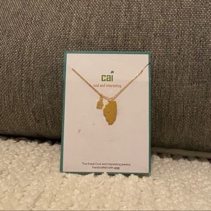 BNWT COOL INTERESTING Illinois Home State Necklace